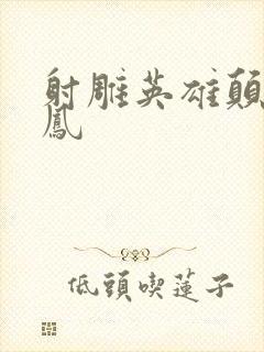 射雕英雄颠倒鸾凤封面