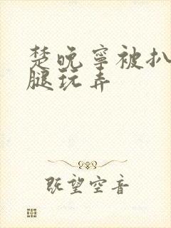 楚晚宁被扒开双腿玩弄