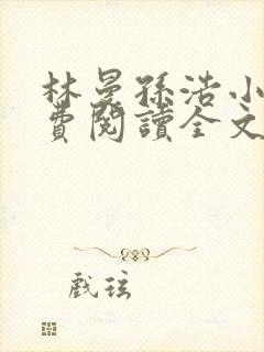 林曼孙浩小说免费阅读全文最新章节