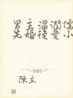 男主温润儒雅的先婚后爱小说