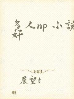 多人np 小说奸
