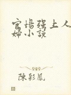 官场强上人妻少妇小说封面