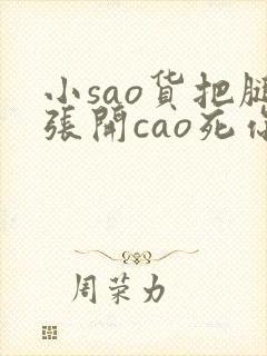 小sao货把腿张开cao死你