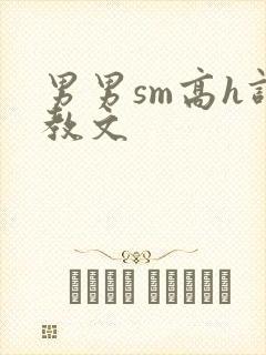 男男sm高h调教文