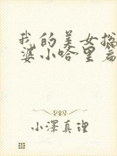 我的美女总裁老婆小哈里篇