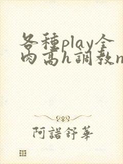各种play全肉高h调教np