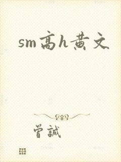 sm高h黄文