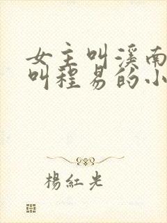 女主叫溪南男主叫程易的小说封面