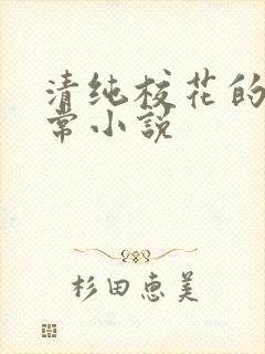 清纯校花的被日常小说封面