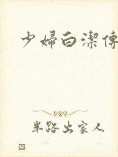 少妇白洁传陈三