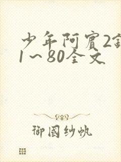 少年阿宾2钰慧1～80全文