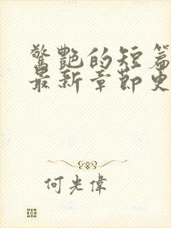 惊艳的短篇合集最新章节更新艳情小说封面