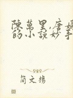 陈万里,唐嫣然的小说妙手大仙医