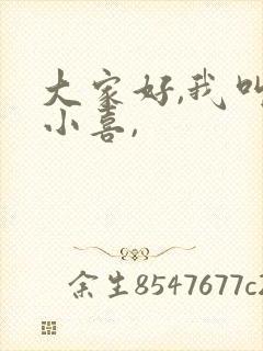 大家好,我叫林小喜,