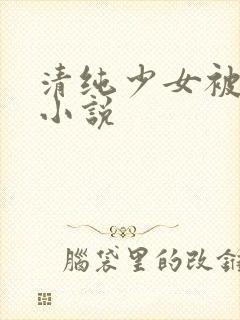 清纯少女被调教小说
