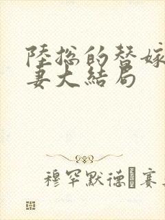 陆总的替嫁小宠妻大结局封面