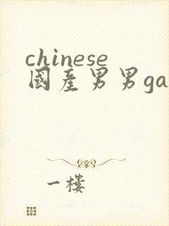 chinese国产男男gay gay网站