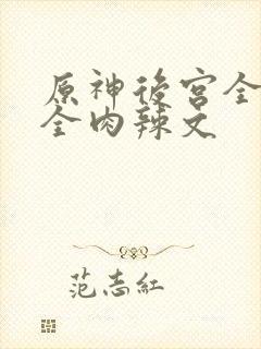 原神后宫全黄h全肉辣文