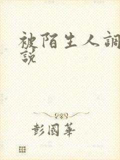 被陌生人调教小说封面