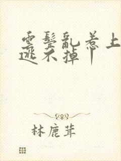 云鬓乱惹上权臣逃不掉丨