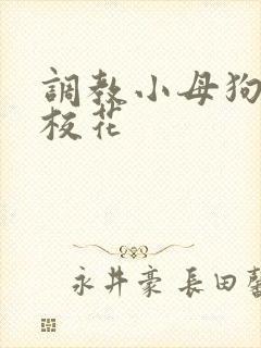 调教小母狗辣文校花