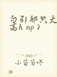 勾引那只大鸟(高h np )