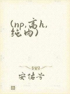 (np,高h,纯肉)