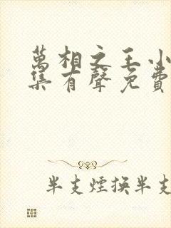 万相之王小说全集有声免费听封面