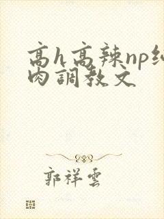 高h高辣np纯肉调教文