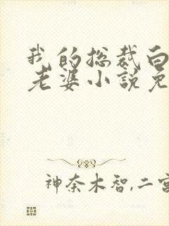 我的总裁白富美老婆小说免费讲述