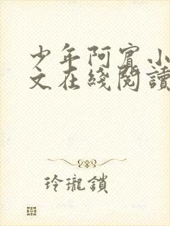 少年阿宾小说全文在线阅读封面