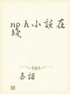 np h小说在线