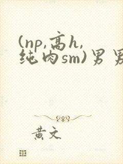(np,高h,纯肉sm)男男封面