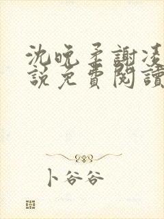 沈晚柔谢凌安小说免费阅读最新章节