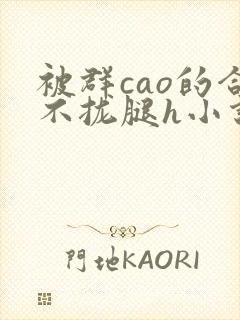 被群cao的合不拢腿h小说