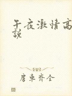 午夜激情高h小说