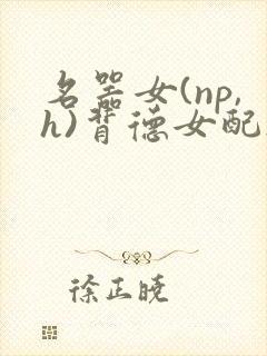 名器女(np,h)背德女配h