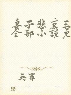 妻子悲哀三部曲全部小说免费阅读