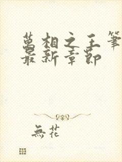 万相之王笔趣阁最新章节封面