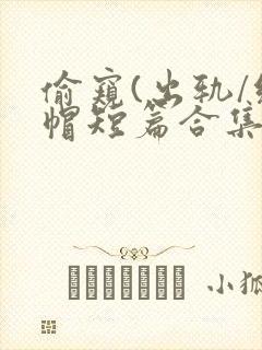 偷窥(出轨/绿帽短篇合集)封面