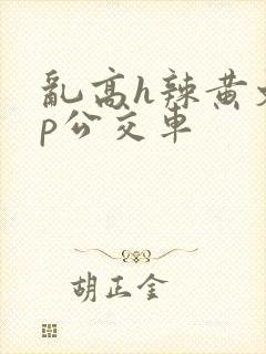 乱高h辣黄文np公交车