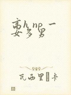 高h np 一女多男