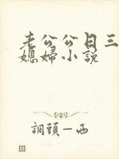 老公公日三个儿媳妇小说