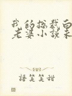 我的总裁白富美老婆小说未删减完整版