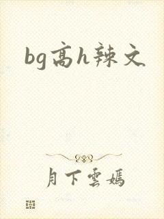 bg高h辣文封面