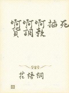 啊啊啊插死小骚货调教