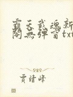 霸天武魂新笔趣阁无弹窗txt封面