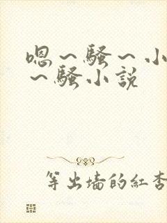 嗯～骚～小淫妇～骚小说