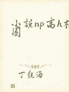 小说np高h校园
