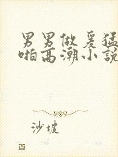 男男做爰猛烈啪啪高潮小说封面